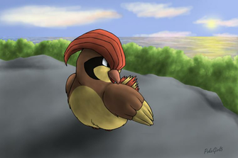 Best Pidgeotto Wallpaper