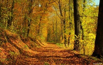 Nature Wallpaper HD Landscape