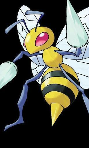 Pidgeotto Pokemon Wallpaper Image