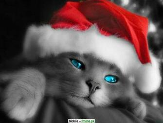 Cute Wallpaper For Mobile Phones Christmas Cat