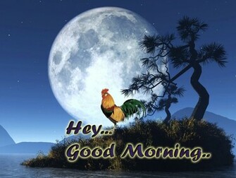 Good Morning Wallpaper Unique