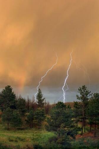 Summer Storm iPhone HD Wallpaper