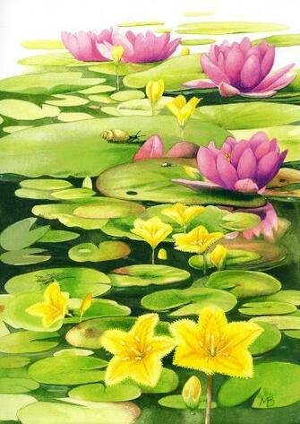 Of Marjolein Bastin Nature S Journal Wallpaper