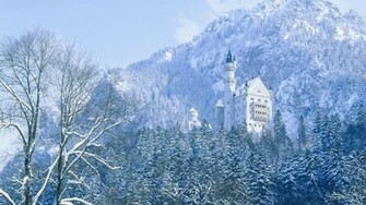 Incredible Nature Full HDtv Wallpaper