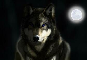 Greywolf Wallpaper By Firedragonart