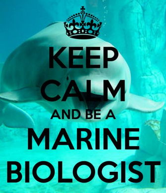 Gallery Marine Biology Wallpaper