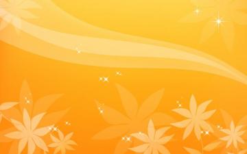 Orange Flower Desktop Background