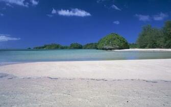 Hawaii Beach Wallpaper Print Poster S Aquamarine Sea And