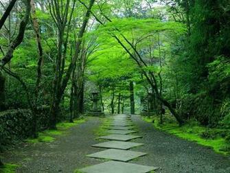 Japan Kyoto Tour Wallpaper IwallHD HD