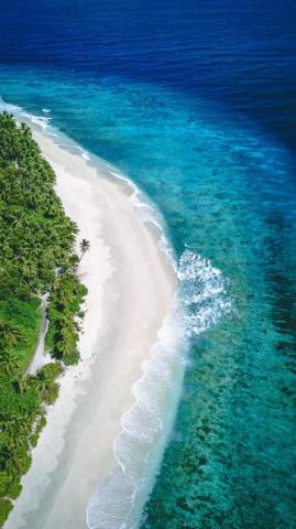 Tropical Beach Top Sea Coast Wallpaper