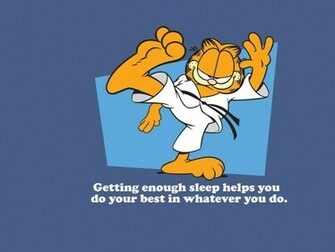 Quotes Garfield Wallpaper Martial Arts