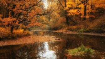 Autumn Desktop Background Wallpaper Themescompany