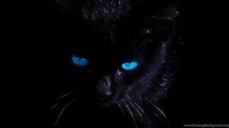 Black Cat Wallpaper Top Background