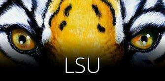 Lsu Tigers Football Wallpaper Apk Android Zone
