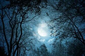Moonlight Night HD Wallpaper