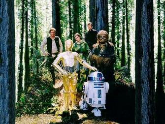 My Wallpaper Star Wars Endor Forest