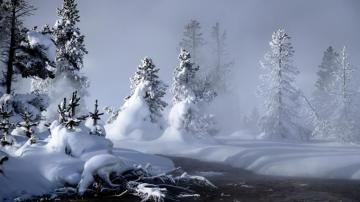 Winter Scenes Wallpaper The Galleries Of HD