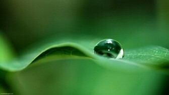 Water Droplet Desktop Pc And Mac Wallpaper