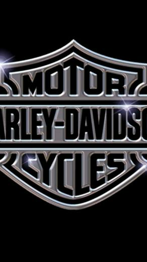 Harley Davidson Logo