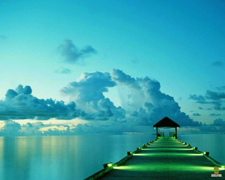 Wallpaper And Funny Ocean