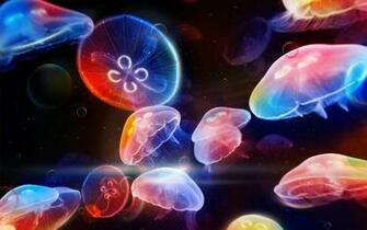 Get Rid Of Your Old Desktop Wallpaper With These Background And