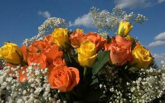 Yellow And Orange Roses Given Together Symbolize Passionate Ideas