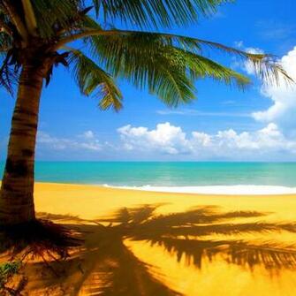 Tropical Paradise iPad Wallpaper