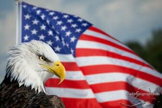 Related Pictures Eagle And American Flag Wallpaper HD