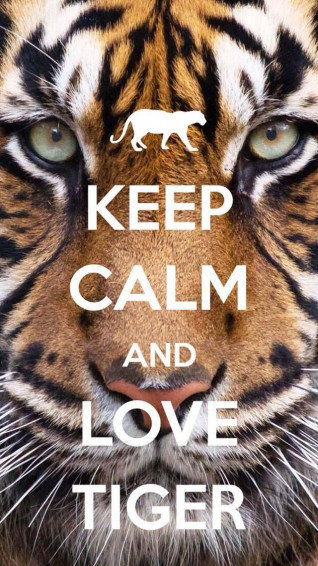 Keep Calm And Love Tigers Wild Animal Wallpaper Tiger Quotes