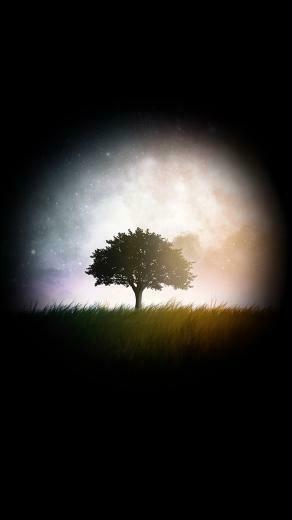 HD Dark Tree Phone Wallpaper