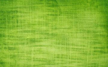 Light Green Texture Wall Plain Wallpaper