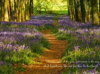 Bible Verse Greetings Card Wallpaper Christian