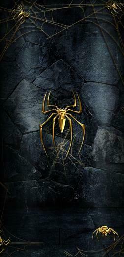 Mobile Phone Wallpaper Spider