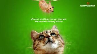 Animal Wallpaper Collection Of Best