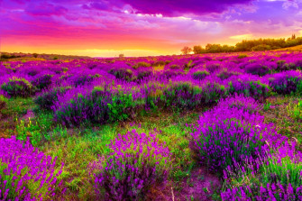 Most Beautiful Spring Wallpaper On
