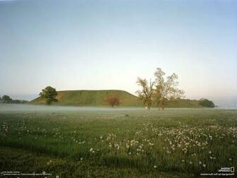 National Geographic Landscape Rock Formation Dandelion