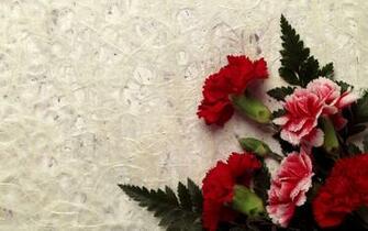 Most Beautiful Flower Lovers HD Wallpaper