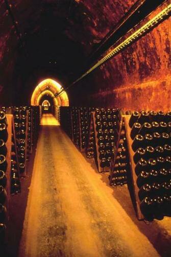 Background Wine Cellar Bottle Rack Backdrop Xt In