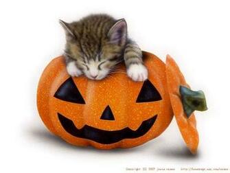 Halloween Animals Wallpaper