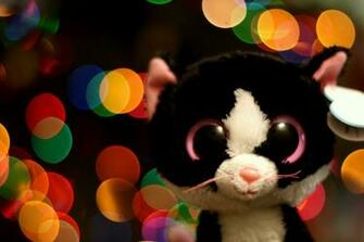 Products Beanie Boos Wallpaper