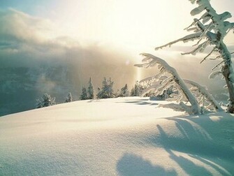 Winter Scene Christmas Wallpaper