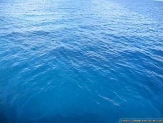 Ocean Wallpaper Crazy Frankenstein