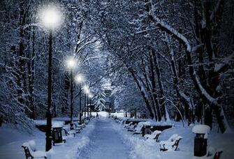 Wallpaper Winter Snow Park Bench Tree Forest Desktop