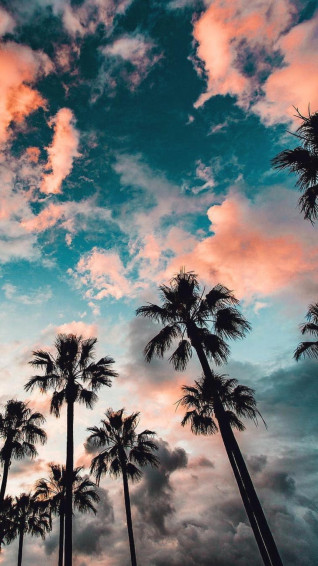 Nature Wallpaper Aesthetic