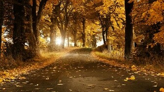 Beautiful Autumn Wallpaper