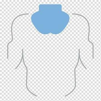 Organ Shoulder Human Body Hijama Pain Relief Transparent