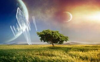 Tree Abstract Realism Wallpaper