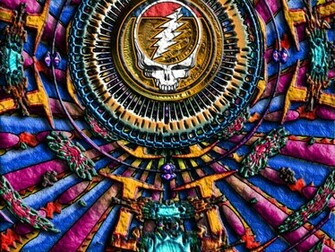 Grateful Dead Wallpaper Skeleton And Roses