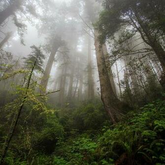 Interfacelift Wallpaper Damnation Creek Trail