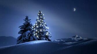 General Christmas Tree Snow Night Winter